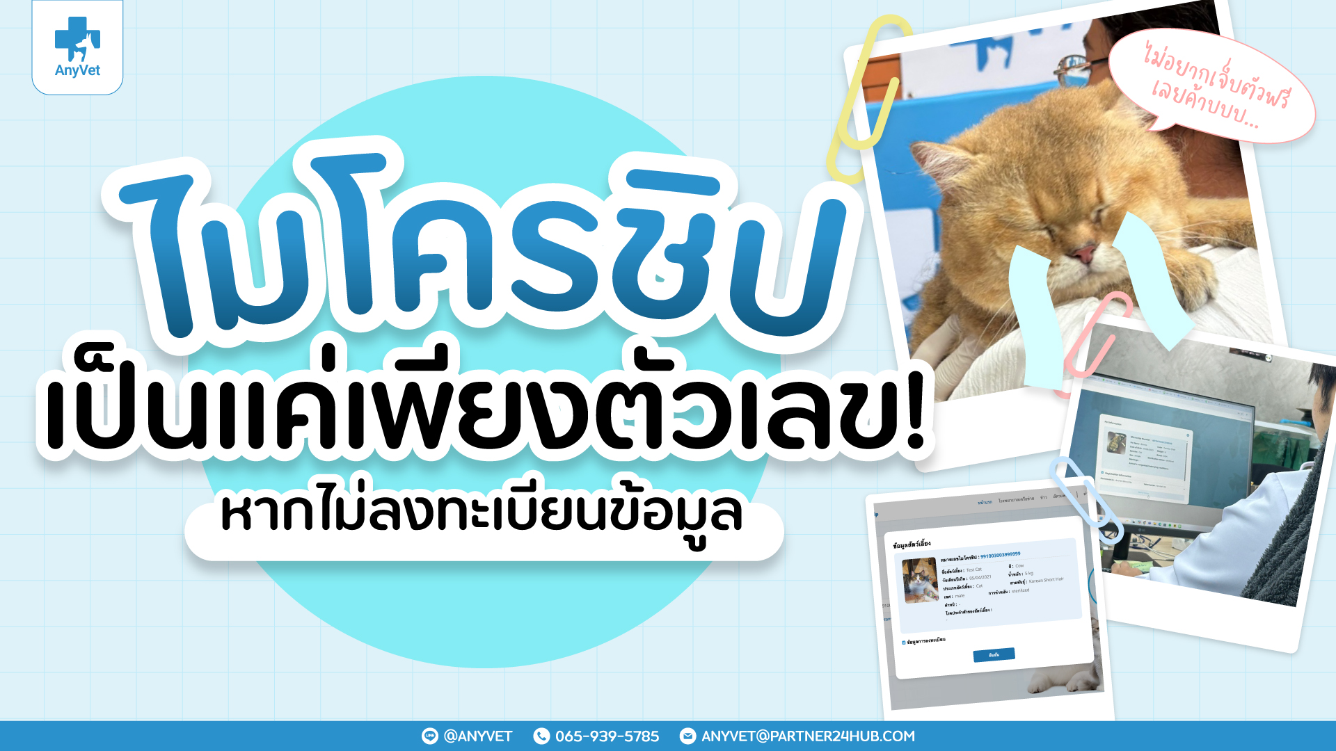 Pet Microchipping Isn’t Enough: Register Your Pet’s Microchip to Keep Them Safe
